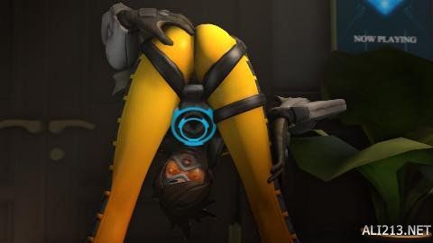 样的活动 样的活动